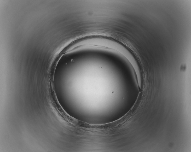 X0000111050436200907091637