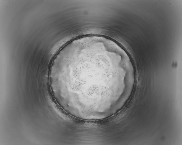 X0000111050437200907091637