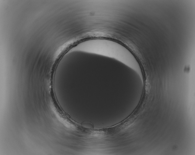 X0000111050438200907091637