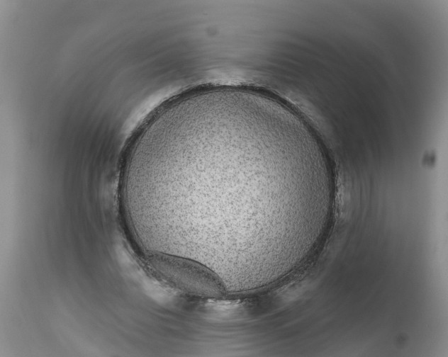 X0000111050440200907091637