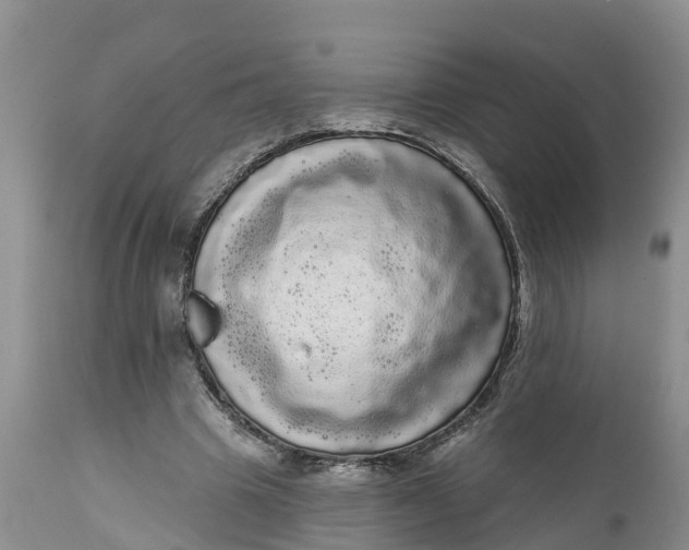 X0000111050441200907091637