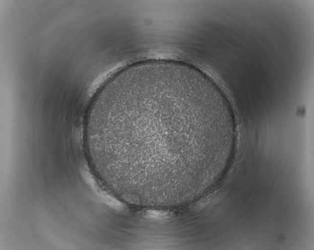 X0000111050442200907091637