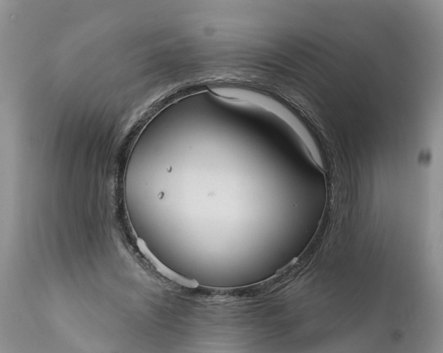 X0000111050444200907091637