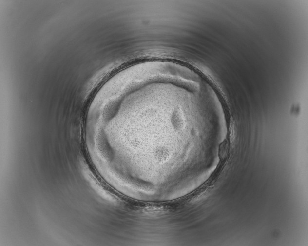 X0000111050445200907091637