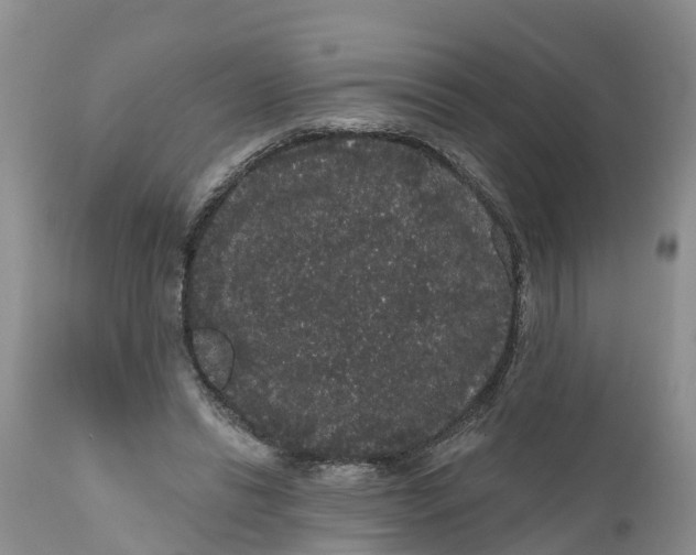 X0000111050446200907091637