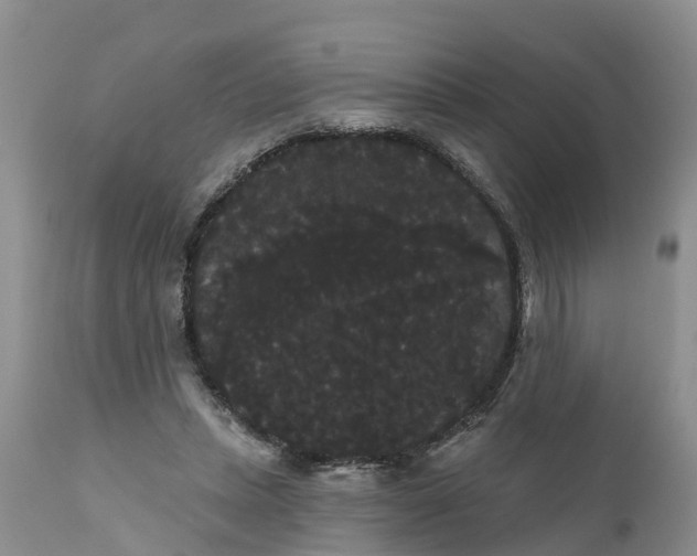 X0000111050447200907091637