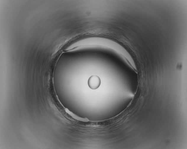 X0000111050448200907091637