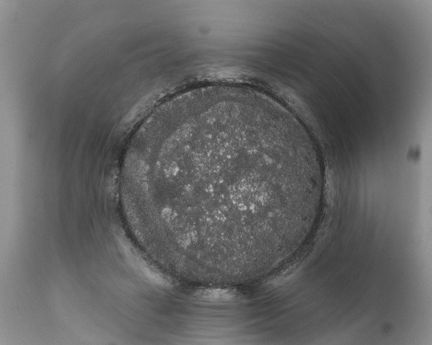 X0000111050449200907091637