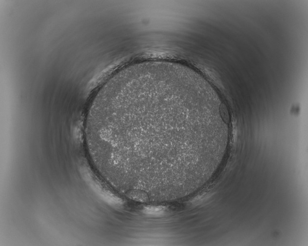 X0000111050450200907091637