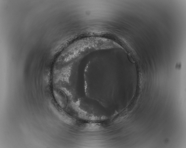 X0000111050451200907091637