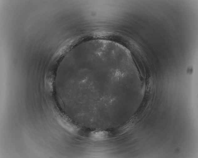 X0000111050452200907091637