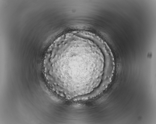 X0000111050453200907091637