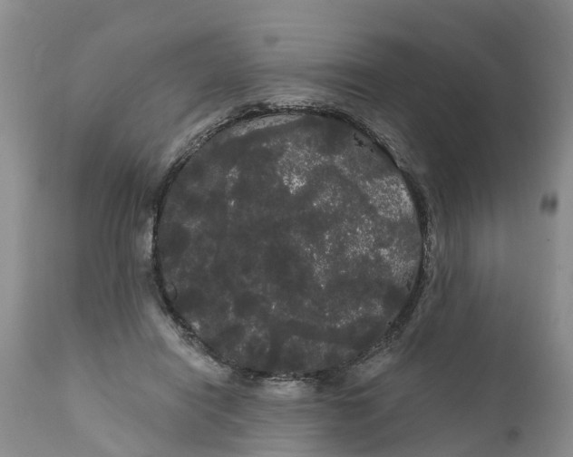 X0000111050454200907091637