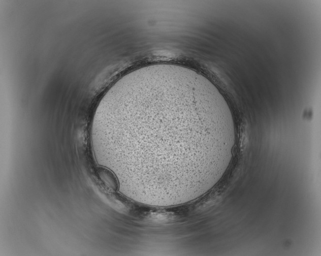 X0000111050455200907091637