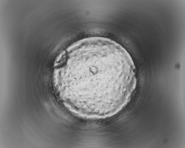 X0000111050457200907091637