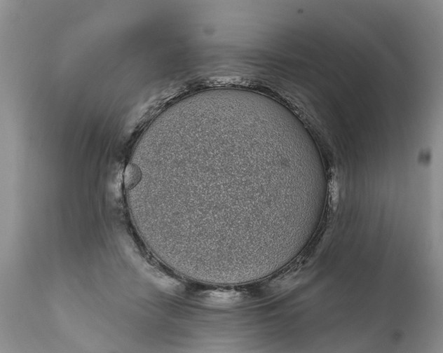 X0000111050458200907091637