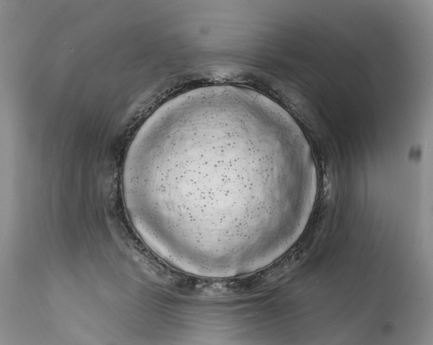 X0000111050461200907091637