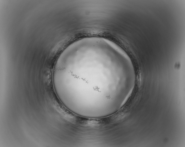 X0000111050462200907091637