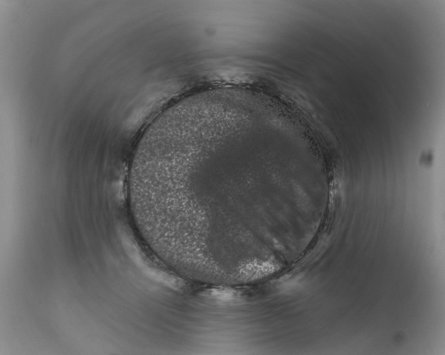 X0000111050464200907091637