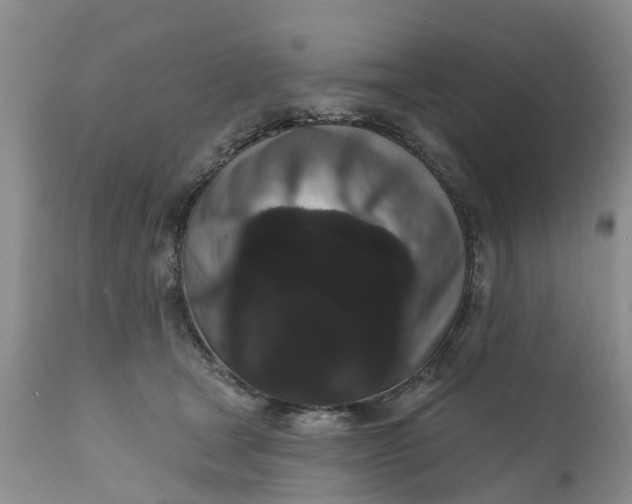 X0000111050465200907091637