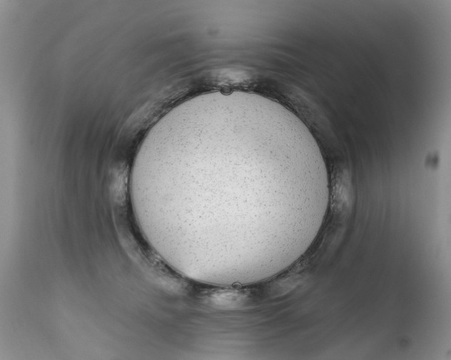 X0000111050468200907091637