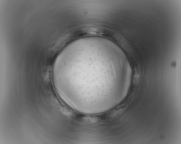 X0000111050469200907091637