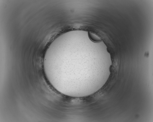 X0000111050470200907091637