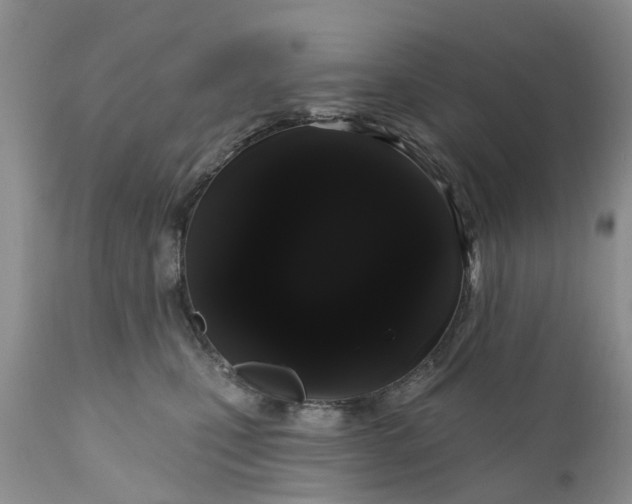 X0000111050471200907091637