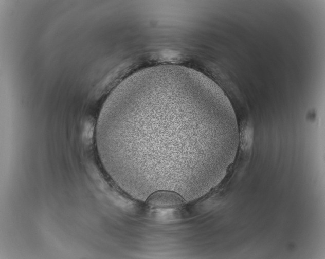 X0000111050472200907091638