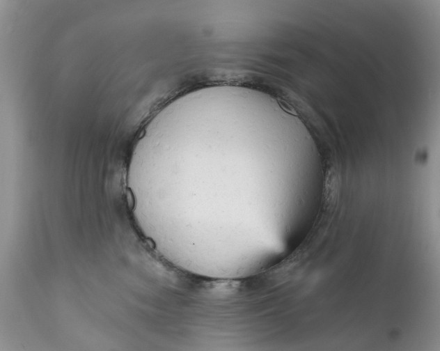 X0000111050474200907091638