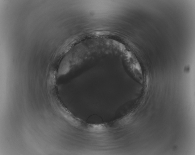 X0000111050475200907091638