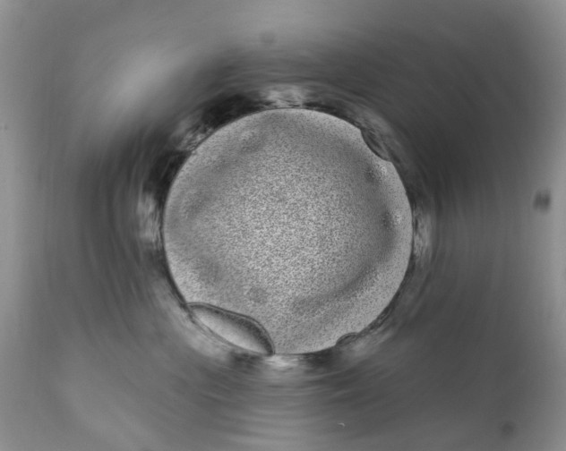 X0000111050477200907091638