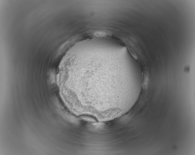 X0000111050478200907091638