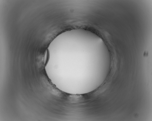 X0000111050480200907091638