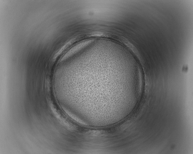 X0000111050482200907091637