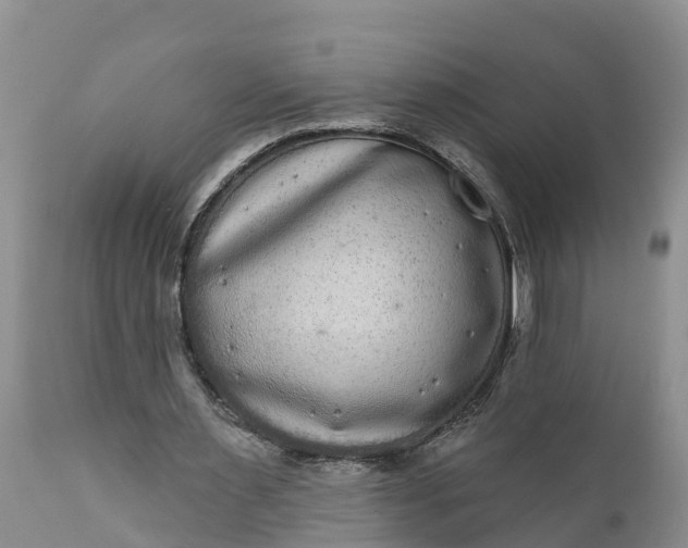 X0000111050483200907091637