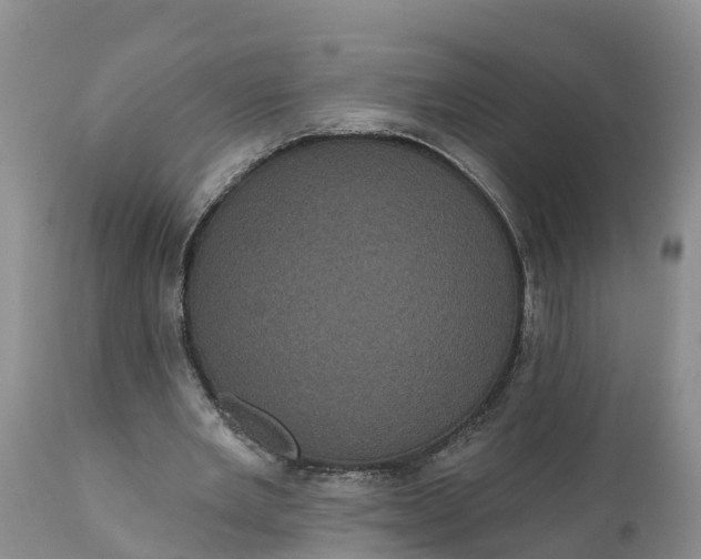 X0000111050485200907091637