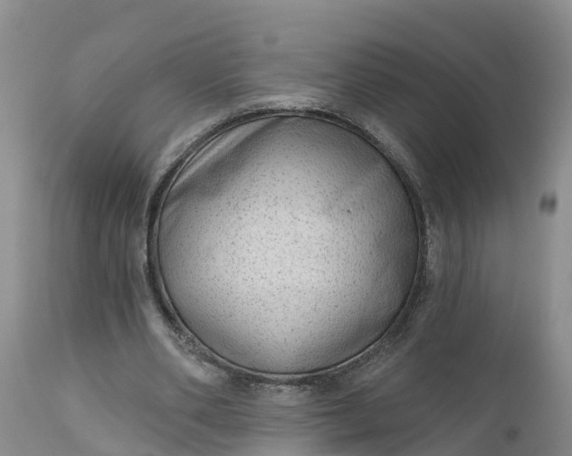 X0000111050486200907091637