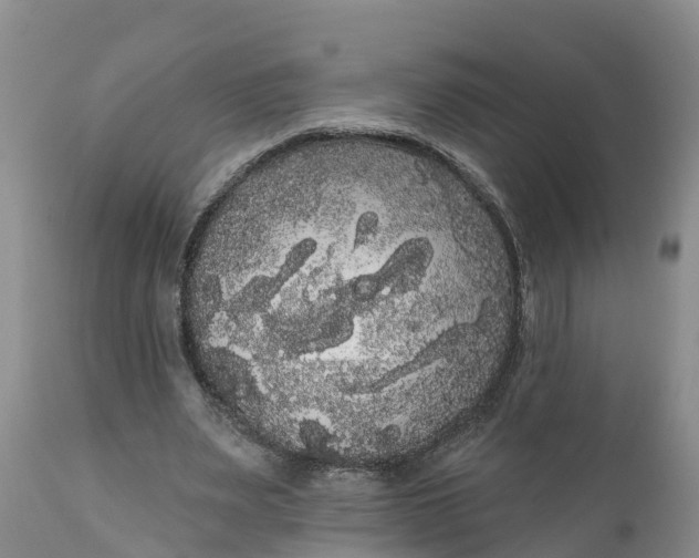 X0000111050487200907091637