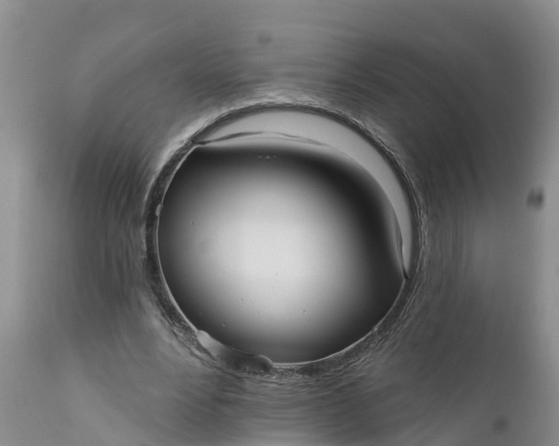 X0000111050488200907091637