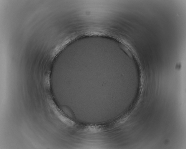 X0000111050489200907091637