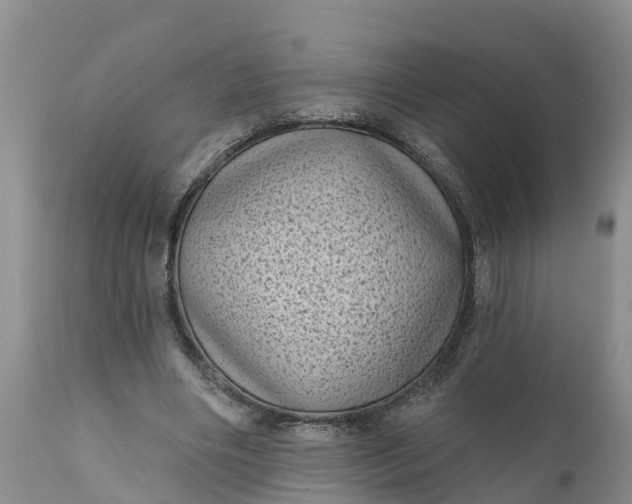 X0000111050490200907091637