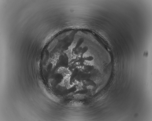 X0000111050491200907091637