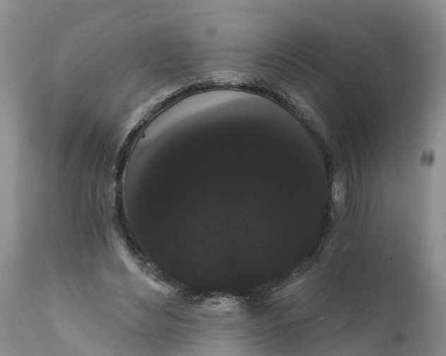 X0000111050492200907091637