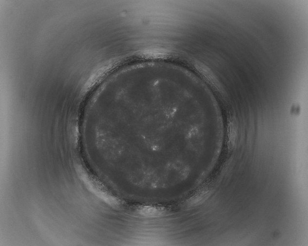 X0000111050494200907091637