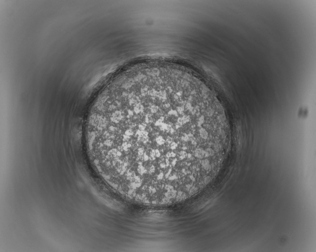 X0000111050495200907091637