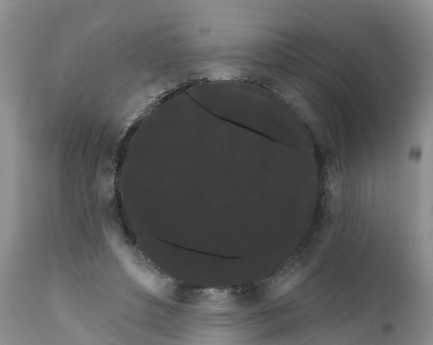 X0000111050496200907091637