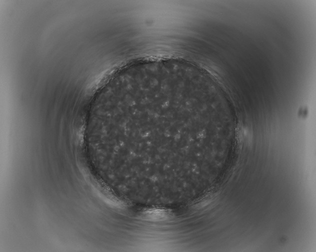 X0000111050499200907091637