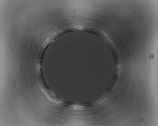 X0000111050500200907091637