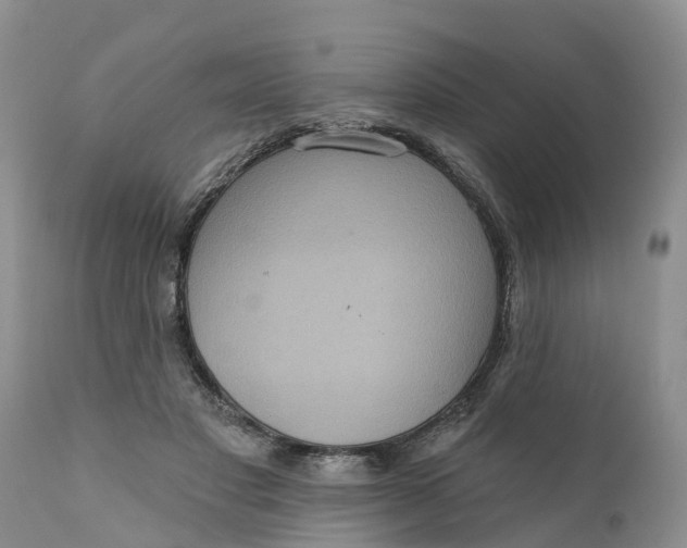 X0000111050501200907091637